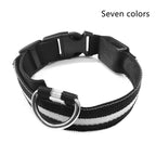 LED Glow-in-the-Dark Pet Collar | Safety Light for Dogs & Cats