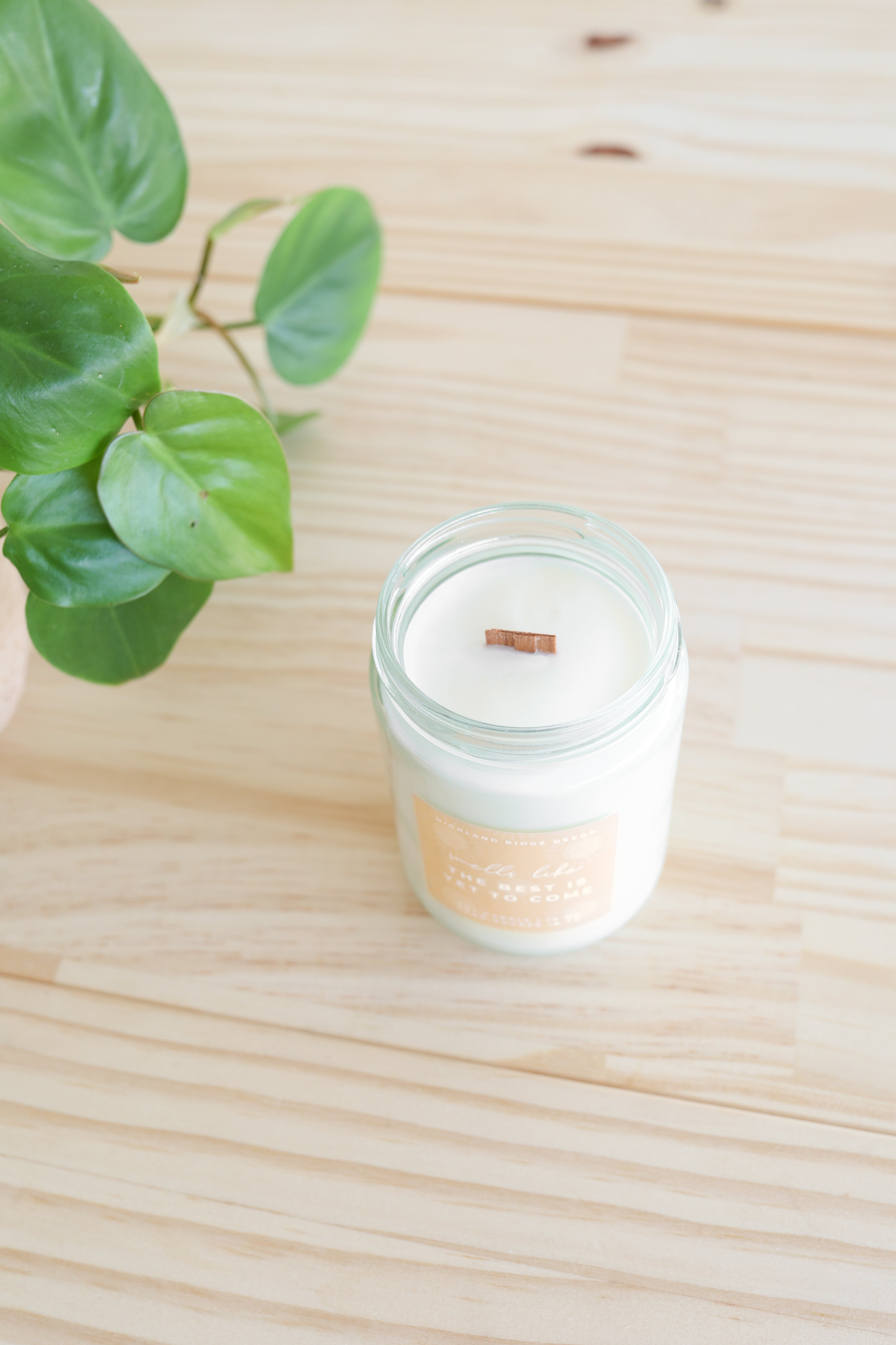 The Best is Yet to Come Soy Candle – Citrus Agave | Orange, Lemon & Peach, Wooden Wick