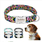 Personalized Dog Collar with Engraved Name | Collar & Leash Sets
