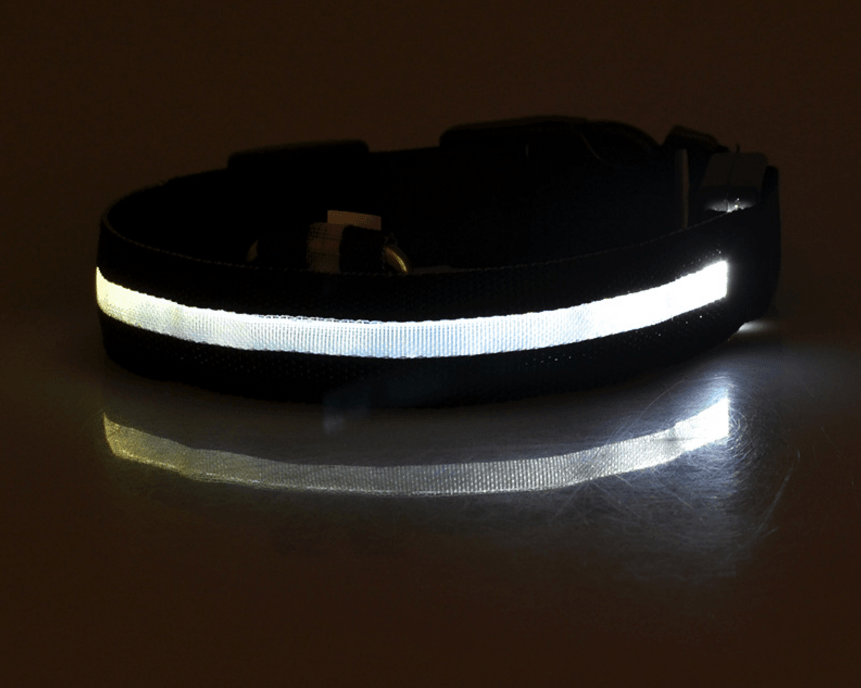 LED Glow-in-the-Dark Pet Collar | Safety Light for Dogs & Cats