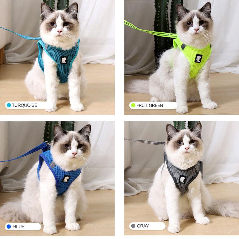 Cat Adventure Harness | Breathable Mesh, Escape-Proof – XS/S/M/L