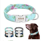 Personalized Dog Collar with Engraved Name | Collar & Leash Sets