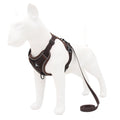 Reflective Dog Harness with Leash | Adjustable Chest Strap – S/M/L/XL