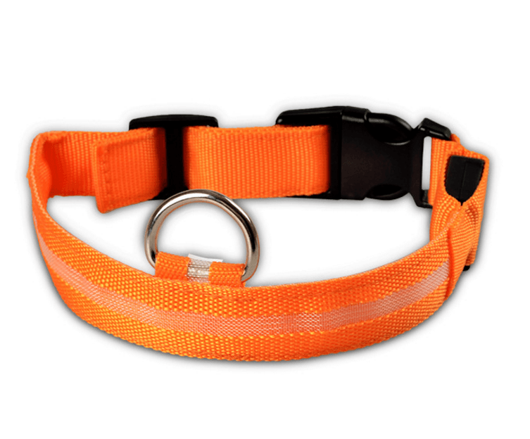 LED Glow-in-the-Dark Pet Collar | Safety Light for Dogs & Cats