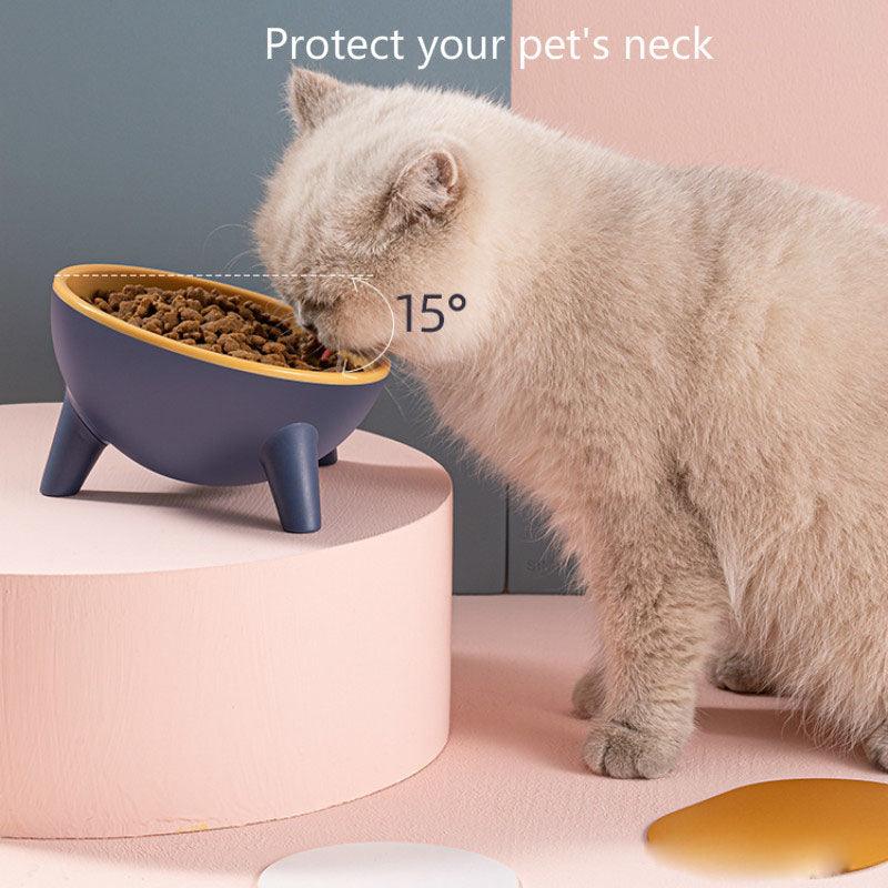 Nordic Tilted Pet Feeding Bowl with Stand