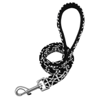 Personalized Dog Collar with Engraved Name | Collar & Leash Sets