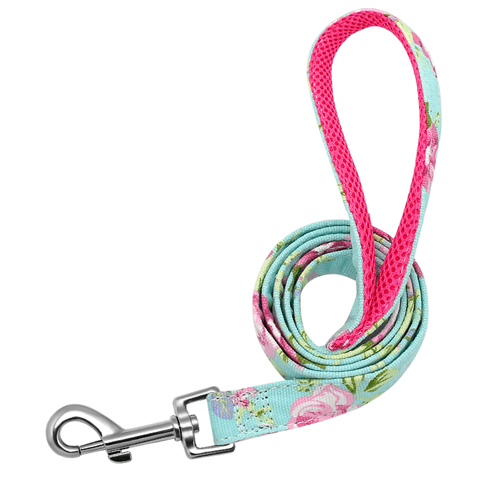 Personalized Dog Collar with Engraved Name | Collar & Leash Sets