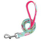 Personalized Dog Collar with Engraved Name | Collar & Leash Sets