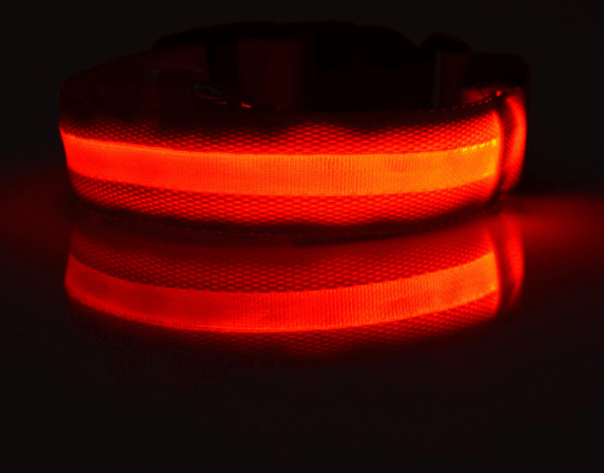LED Glow-in-the-Dark Pet Collar | Safety Light for Dogs & Cats