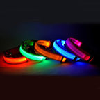 LED Glow-in-the-Dark Pet Collar | Safety Light for Dogs & Cats