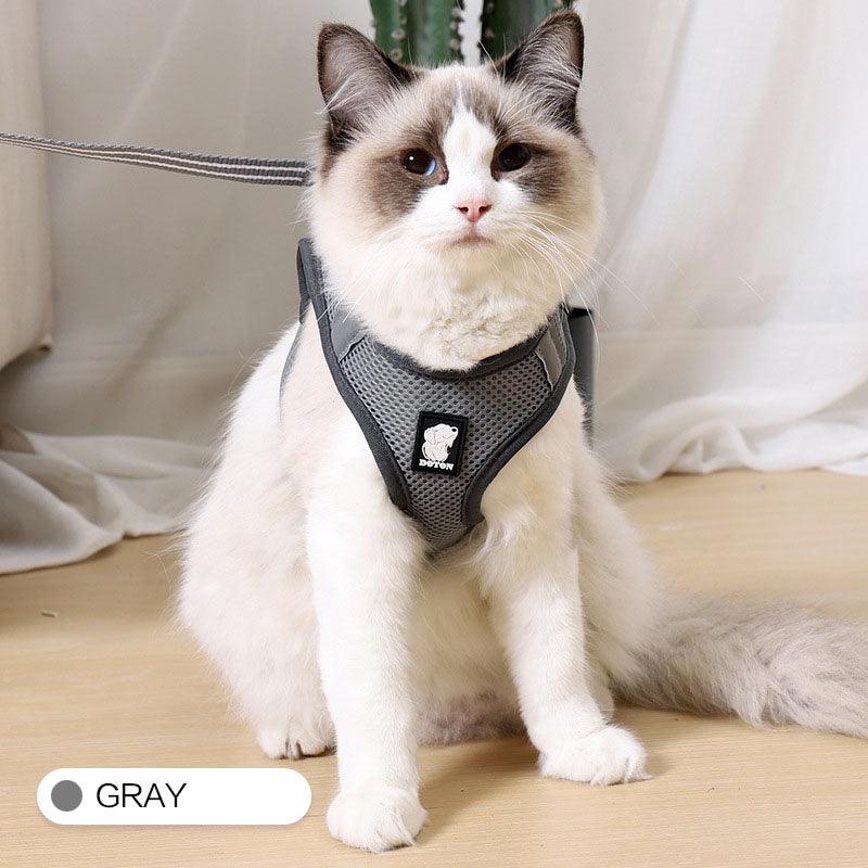 Cat Adventure Harness | Breathable Mesh, Escape-Proof – XS/S/M/L
