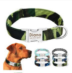 Personalized Dog Collar with Engraved Name | Collar & Leash Sets