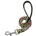 Personalized Dog Collar with Engraved Name | Collar & Leash Sets