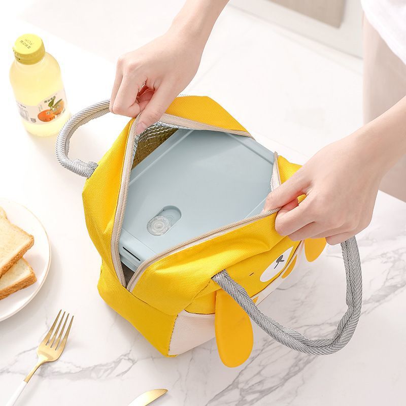 Insulated Lunch Tote | Cartoon Print Thermal Cooler Bag for Work, School & Picnics