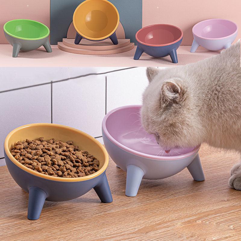 Nordic Tilted Pet Feeding Bowl with Stand