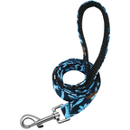 Personalized Dog Collar with Engraved Name | Collar & Leash Sets