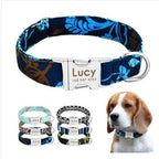 Personalized Dog Collar with Engraved Name | Collar & Leash Sets