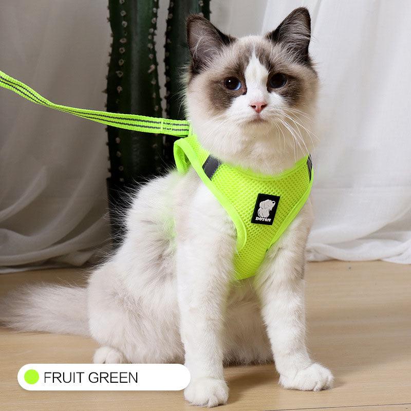 Cat Adventure Harness | Breathable Mesh, Escape-Proof – XS/S/M/L
