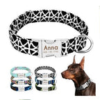 Personalized Dog Collar with Engraved Name | Collar & Leash Sets