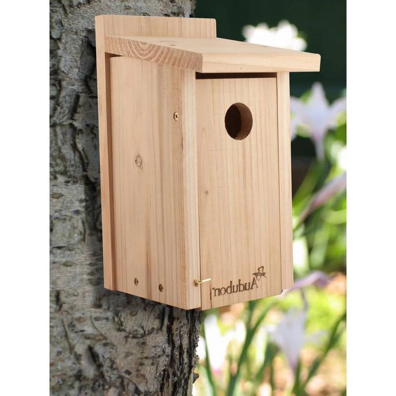 Classic Cedar Wood Bluebird Bird House-0
