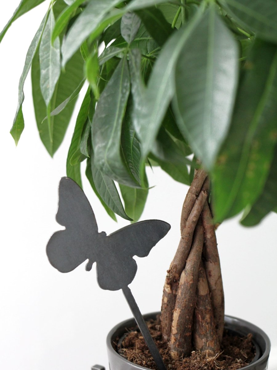 Butterfly Plant Stake | Plasma Cut Steel Garden Decor