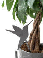 Hummingbird Plant Stake | Plasma Cut Steel Garden Decor