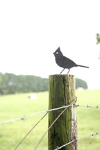 Metal Cardinal Garden Statue – Handmade Plasma Cut Steel, 6.5" Outdoor Bird Decor