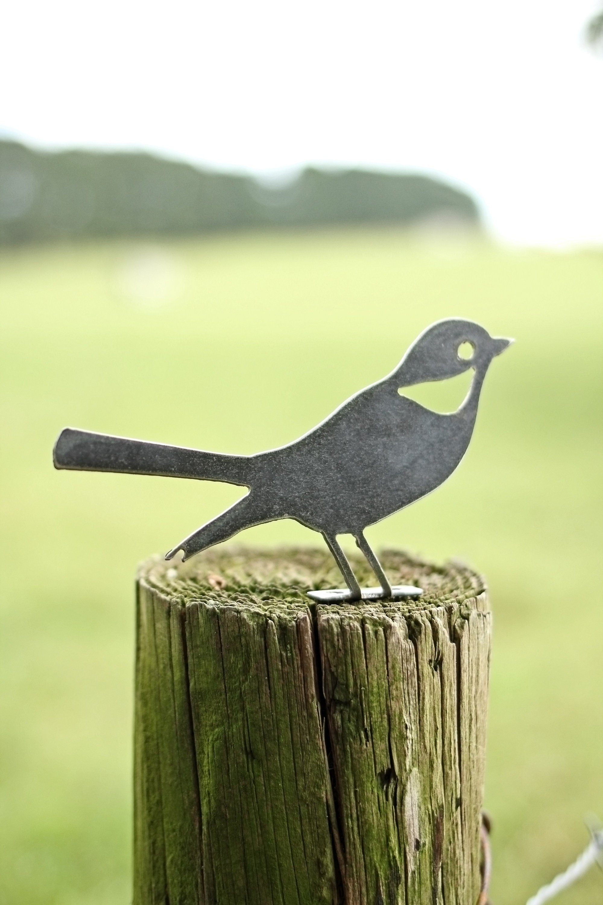 Mockingbird & Robin Metal Bird Statue | Plasma Cut Steel Garden Decor