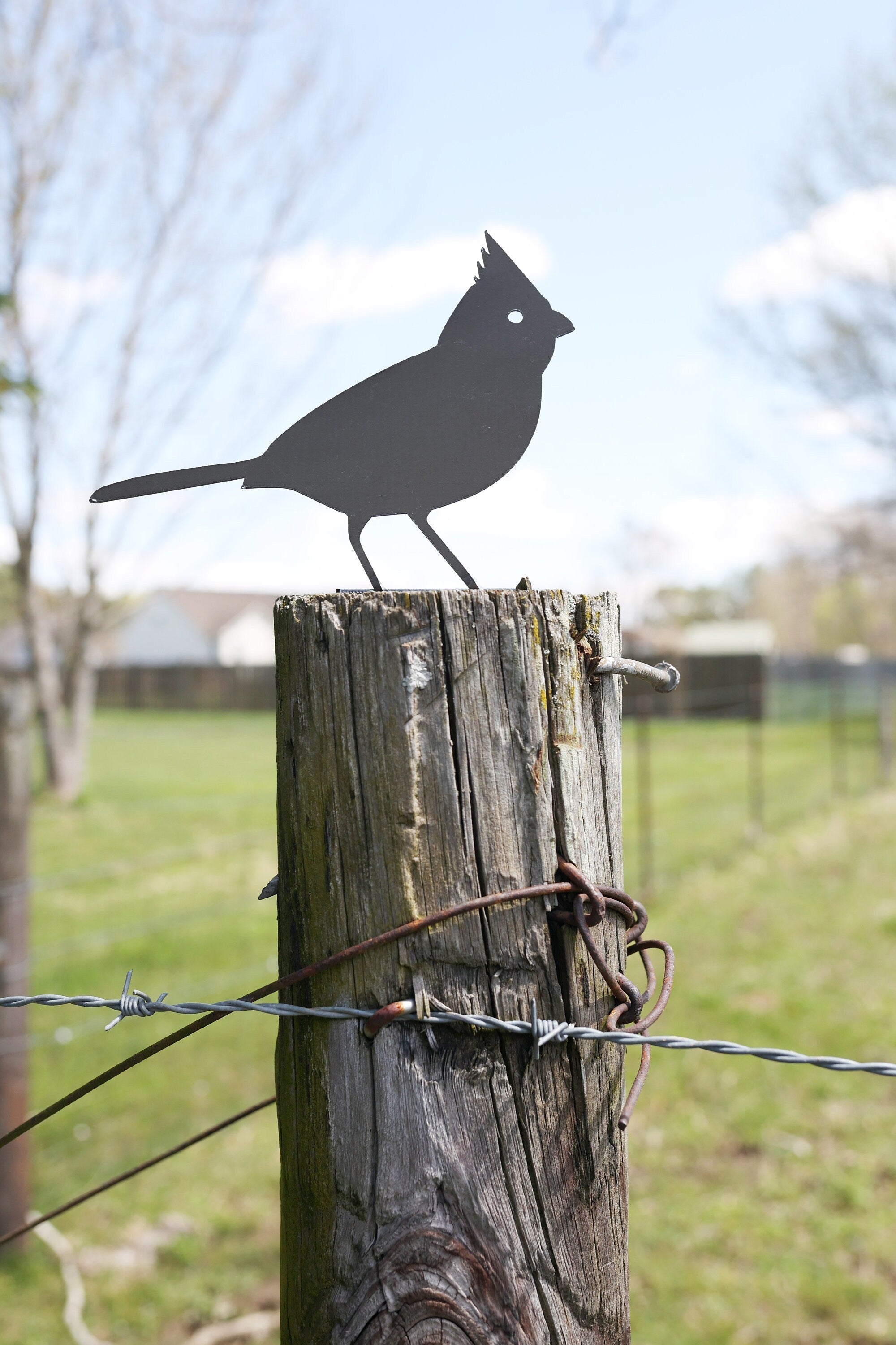 Metal Cardinal Garden Statue – Handmade Plasma Cut Steel, 6.5" Outdoor Bird Decor