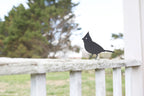 Metal Cardinal Garden Statue – Handmade Plasma Cut Steel, 6.5" Outdoor Bird Decor