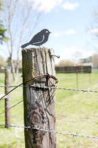 Chickadee Metal Bird Statue | Plasma Cut Steel Garden & Fence Decor
