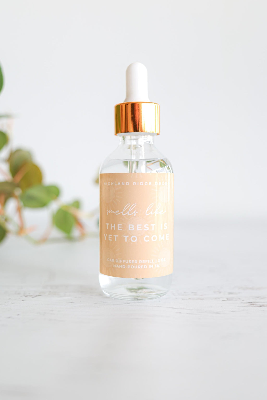 The Best is Yet to Come Car Diffuser Refill