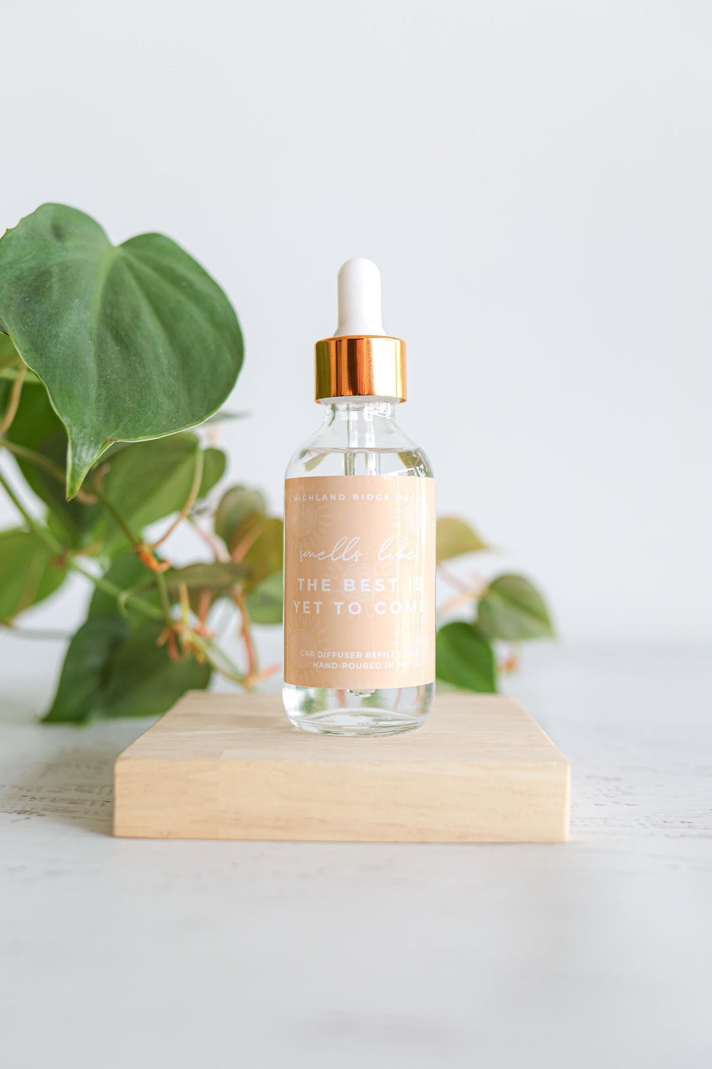 The Best is Yet to Come Car Diffuser Refill