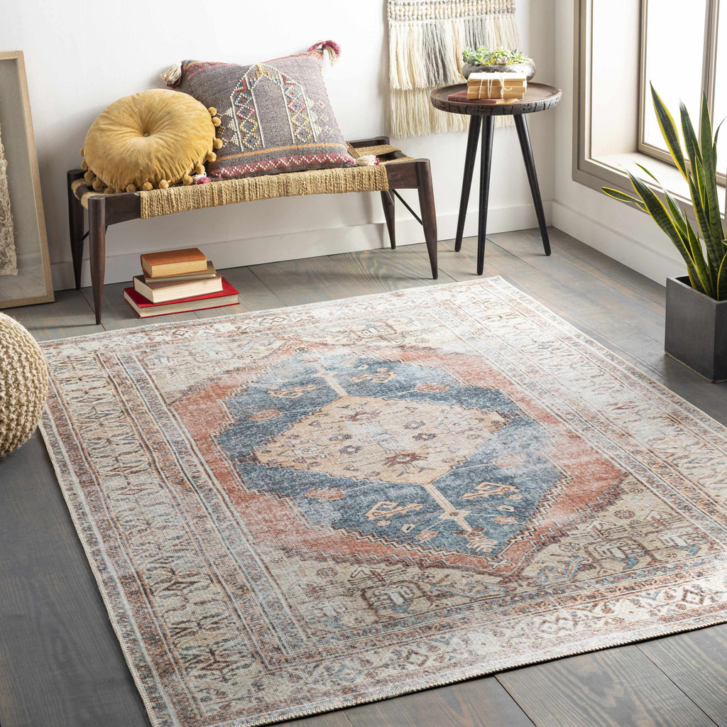 Lake Area Rug - Clearance