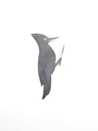 Woodpecker Metal Bird Statue | Plasma Cut Steel Garden & Fence Decor